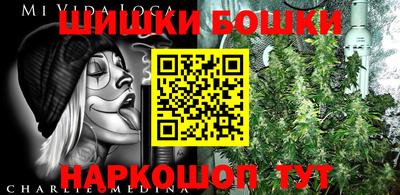 СК Рыбинск